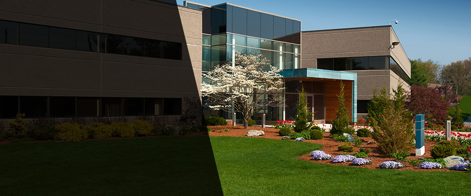 Cedaredge Landscapers
