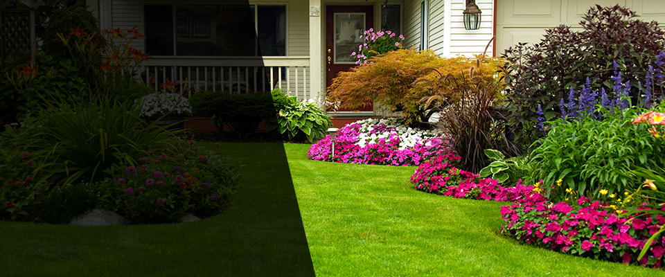 Cedaredge Landscapers