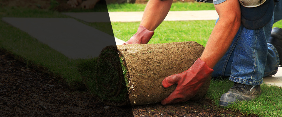 Cedaredge Landscapers